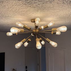 SPUTNIK LIGHT FIXTURE