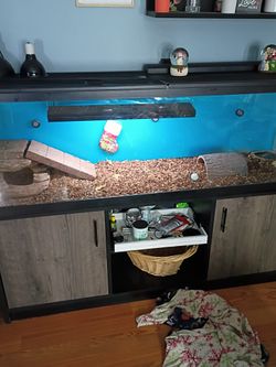 120 Gallon No Animal