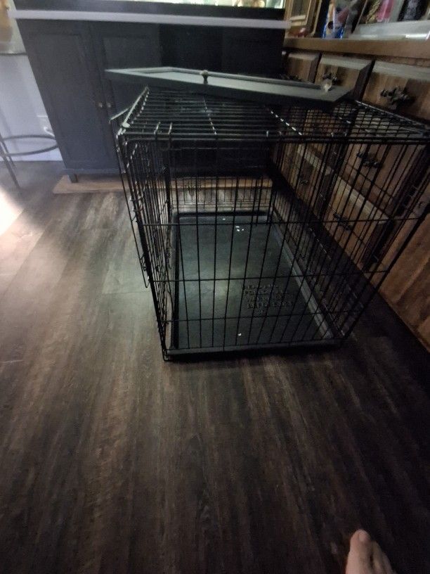 Dog Crate