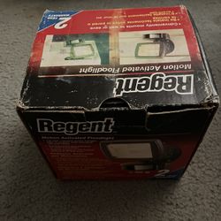 Regent Motion Activated Floodlight