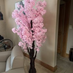 Cherry Blossom Indoor Plant 