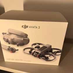 DJI Avata 2 Fly More Combo (3 Batteries) 