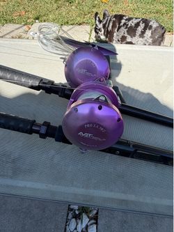 Avet Pro EX 50/2