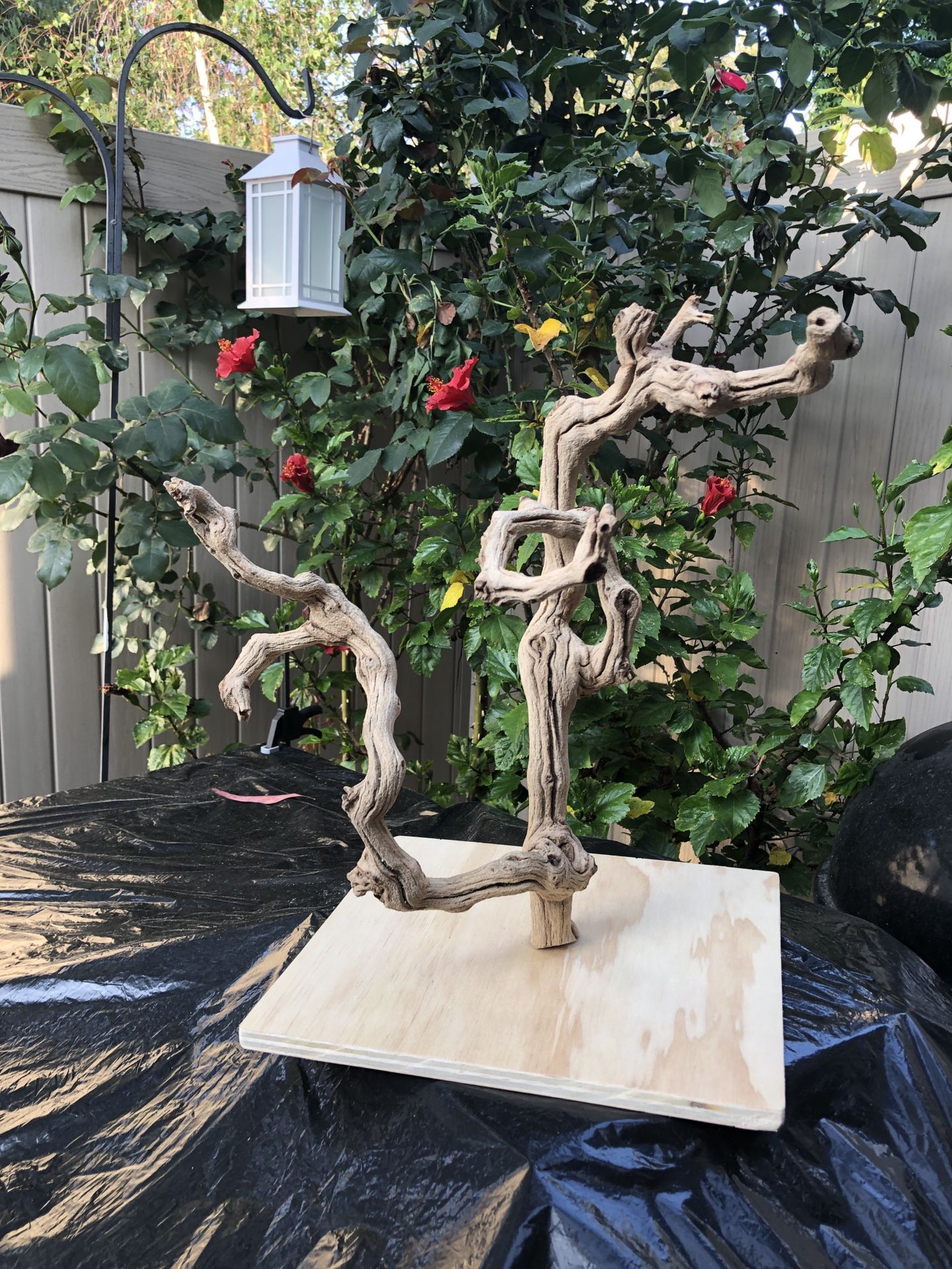 Stand Grape Wood Stand Natural Non-Toxic Bird Reptile Snake Aquarium Habitat DIY Jewelry Display