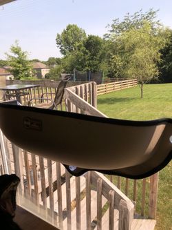 Pet window perch