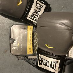 Everlast Prostyle Training Gloves Used