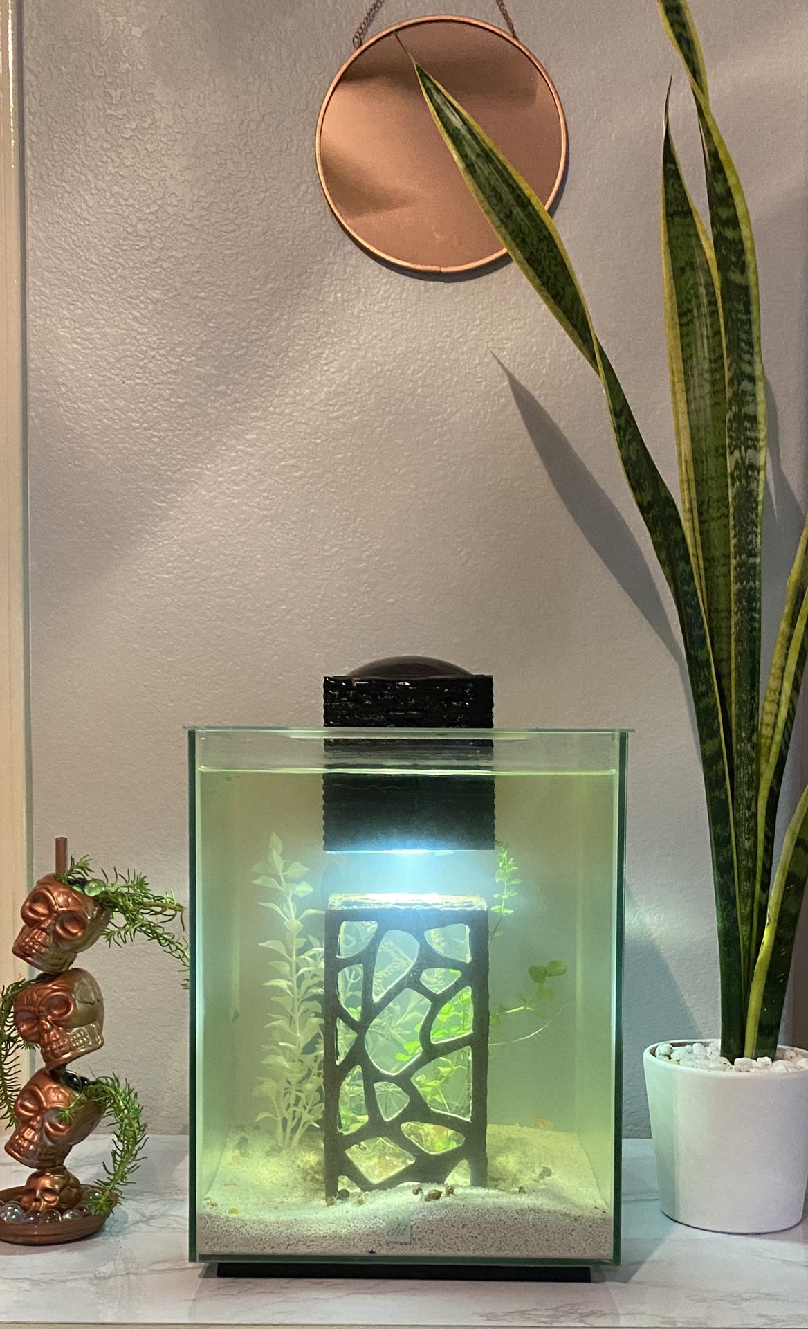 full fish tank set up (with fish and water supplies)