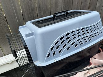 Dog House 