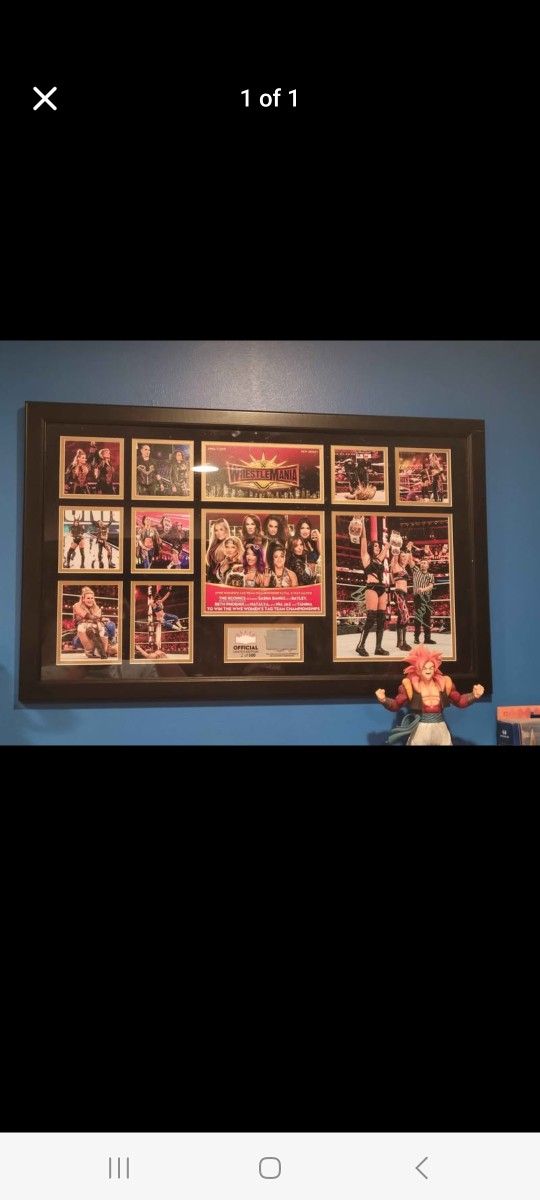 Wwe Divas Autographed Plaque