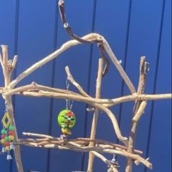 Parrot Perch Tree- A Birdee MUST Have !  A New Hangout Spot For Mr Feathers ! 👍🏼