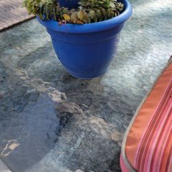 Succulent Plant Pot