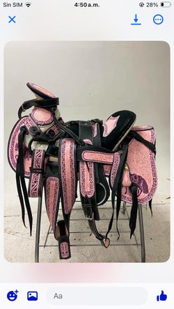 Nueva montura de piel bordada charra