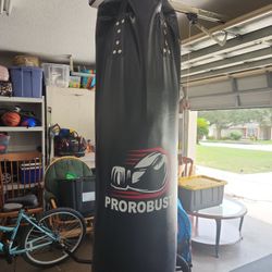 Prorobust (30lbs Punching Bag)