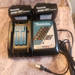 Charger and batteries new firm price