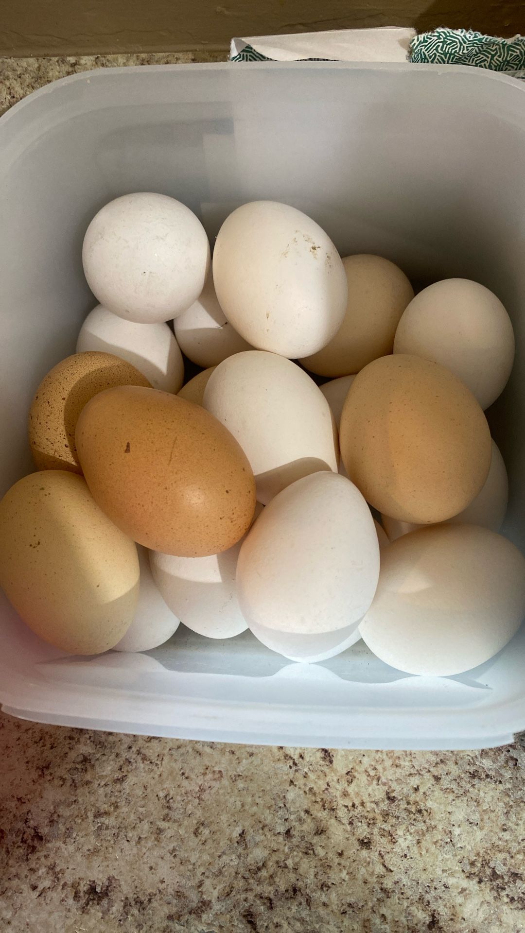 Huevo Orgánico De Gallina De Corral