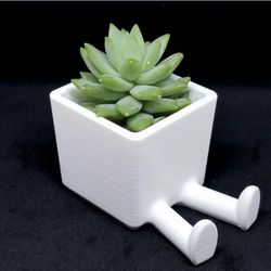 3D PRINTED SUCCULENT/FLOWER PLANTERS(POTS)