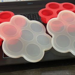 2 Silicone Trays With Lids