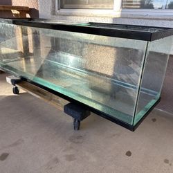 Fish Tank / Reptile Tank 