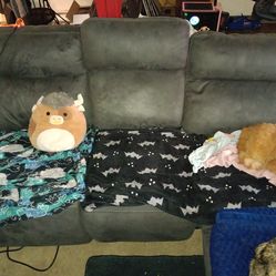 Electric reclining couch and entertainment center Free