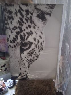Large Black and White Leopard Canvas Print