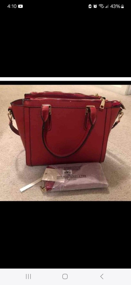 Wine Color Purse 