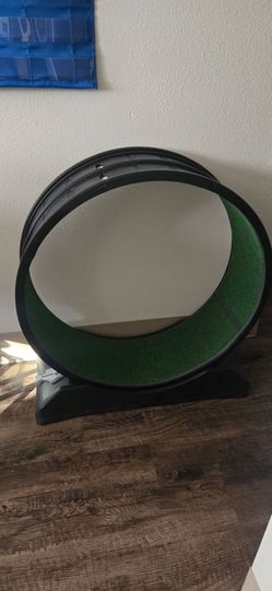 Cat exercise wheel