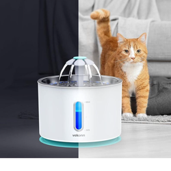 Water fountain pets