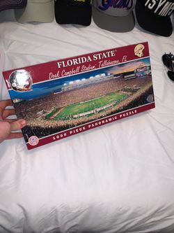 Florida state puzzle