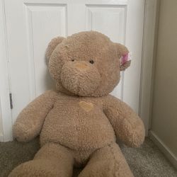 Big Teddy bear 
