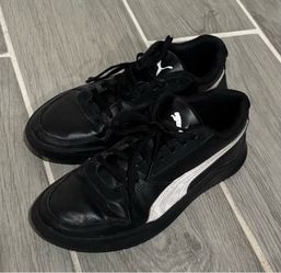 Black and White Puma