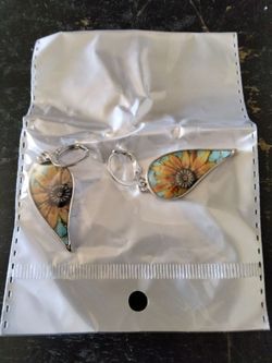 Earrings (costume jewelry)