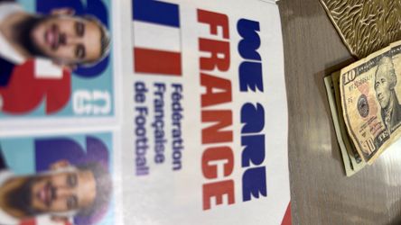 France panini stickers