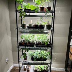 Indoor Greenhouse 