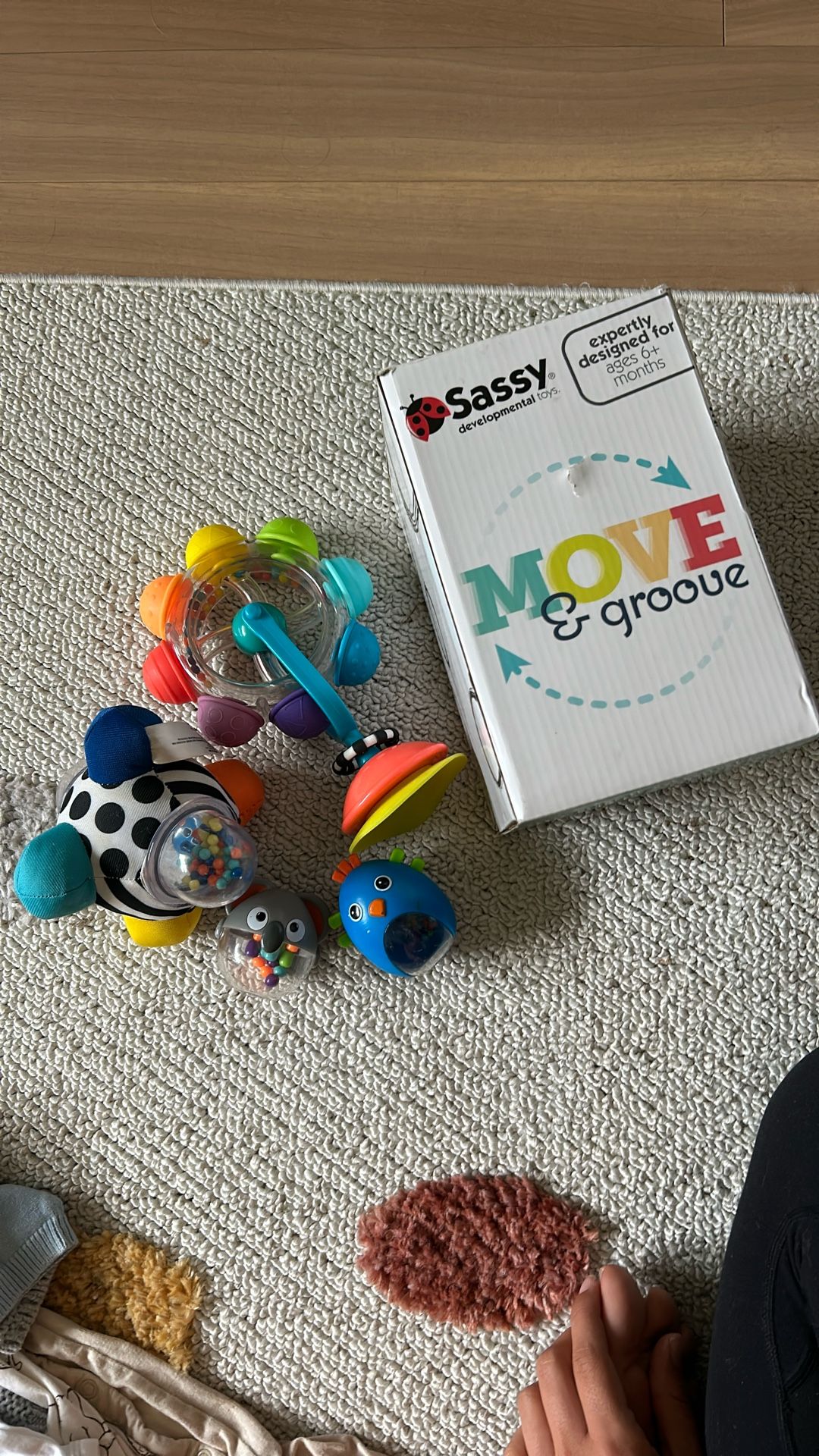 Developmental Baby Toys