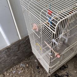 Jaulas Para Pájaros 