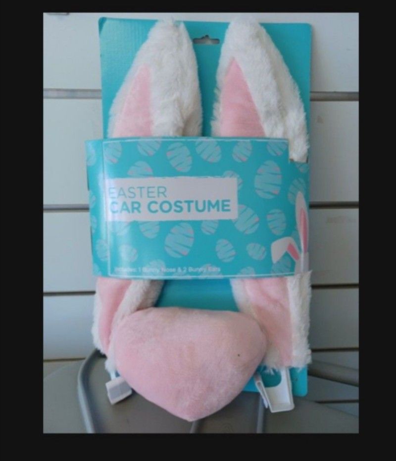 Easter Bunny 🐰 Car Decoration.!!