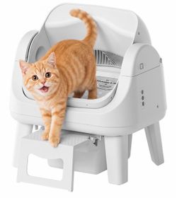 Automatic cat box