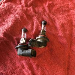 Fog Light Bulbs For Bmw /daytime Running Lights