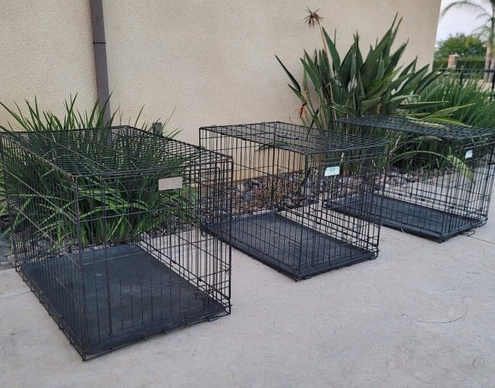 Dog Kennel ""ONLY KENNEL""