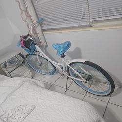  women's bicycle—lightly used.