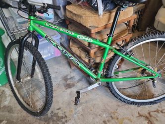 Vintage 98 Kona Lava Dome