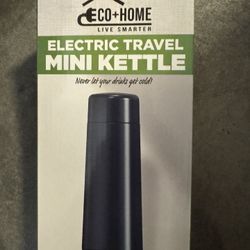 Electric mini kettle 