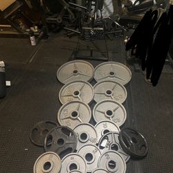 295lbs of Olympic weights with weights tree