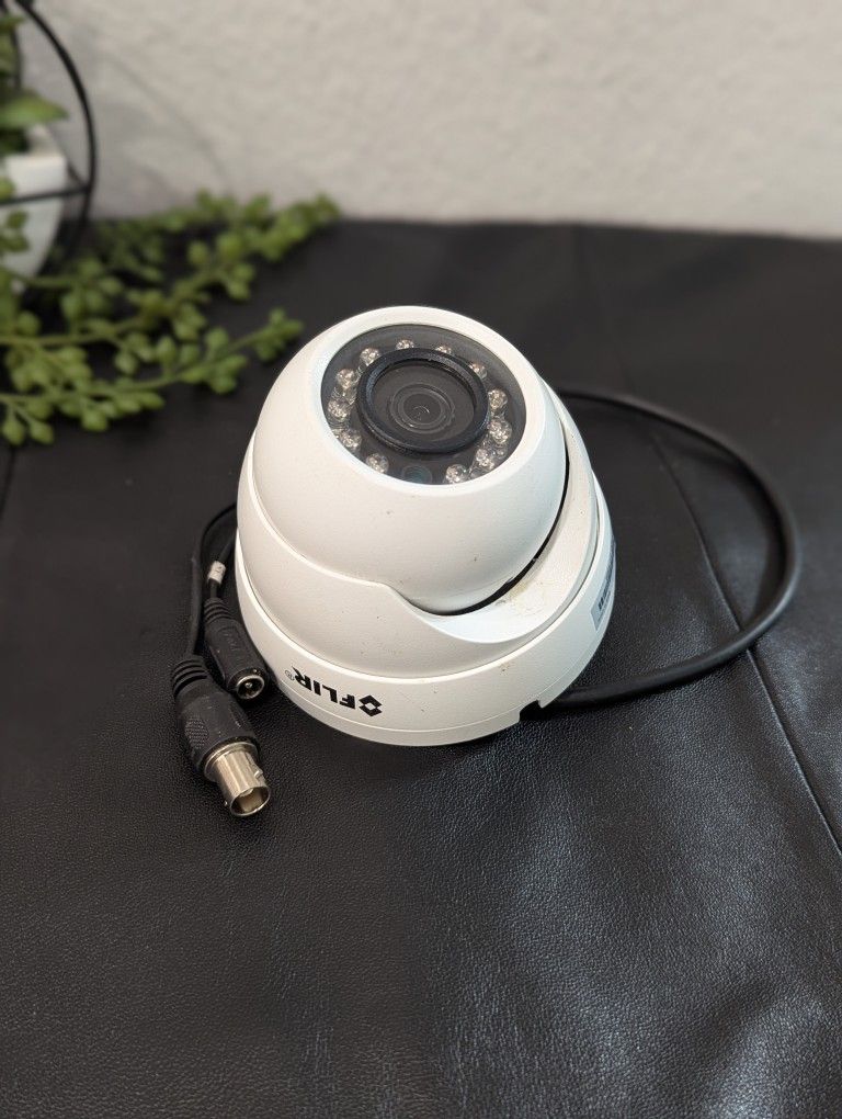 FLIR 1080p MPX Eyeball Dome Camera