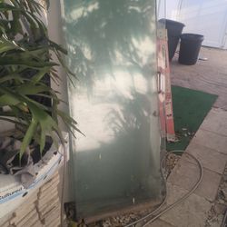 Shower Door 
