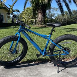 Mongoose Juneau 26” Fat Tire Bike