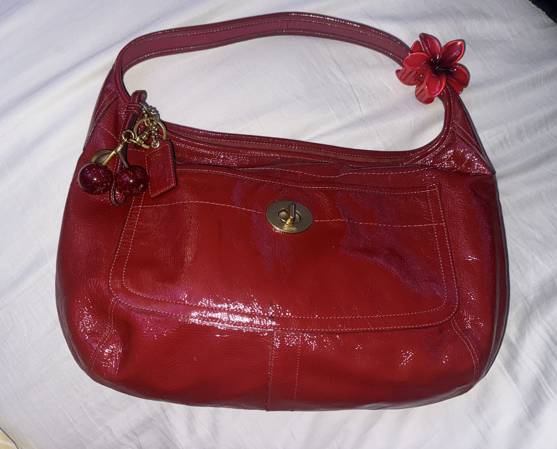 Coach Hobo Ergo