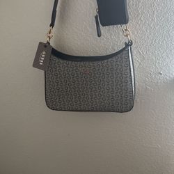 Guess Purse 