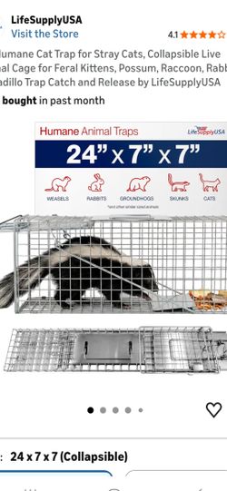 Animal trap