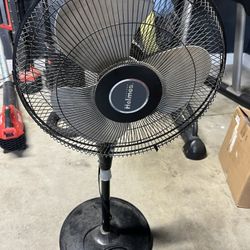 Fan